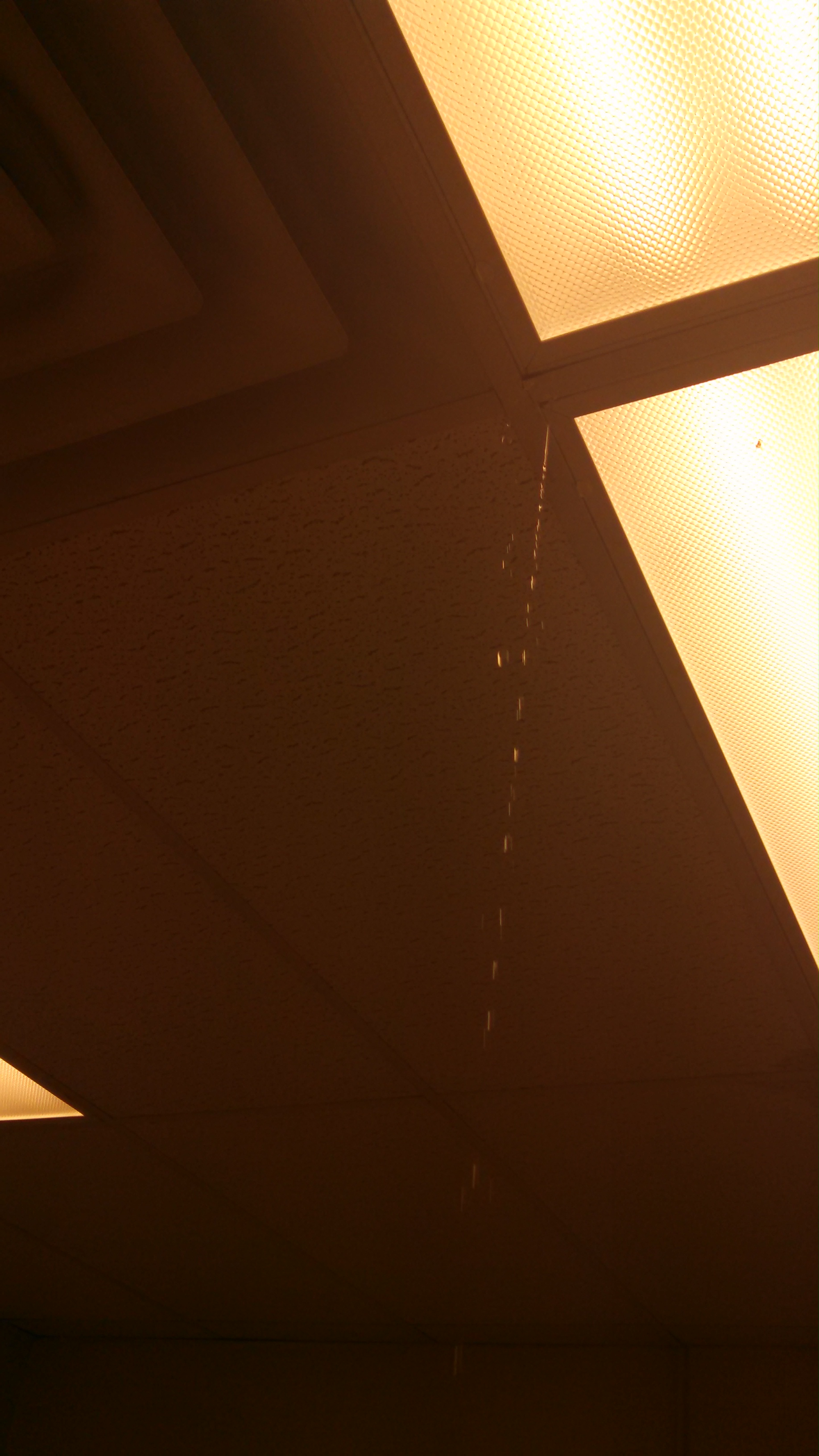 IMG_20160621_165417_732