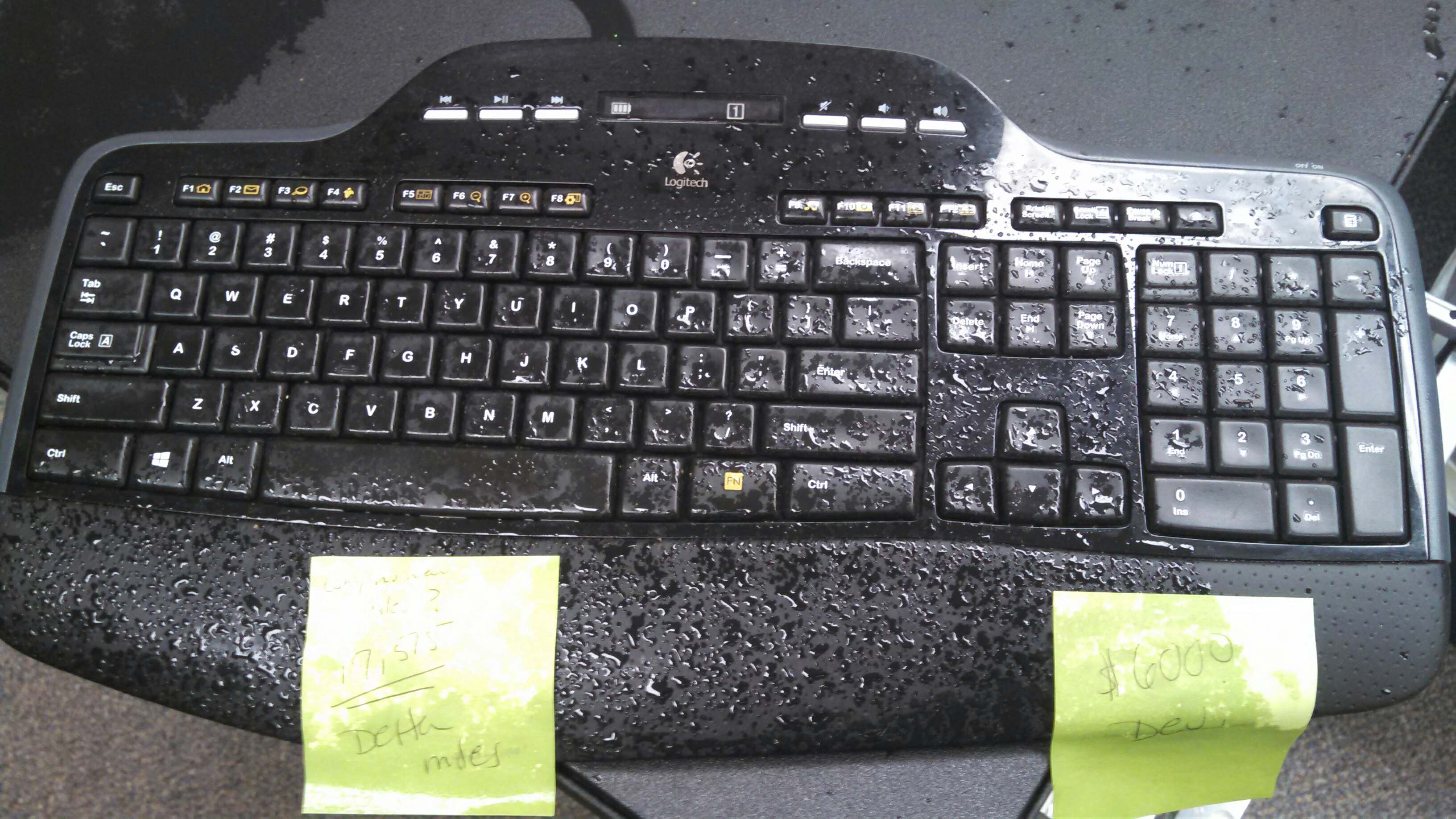 IMG_20160621_165706_584